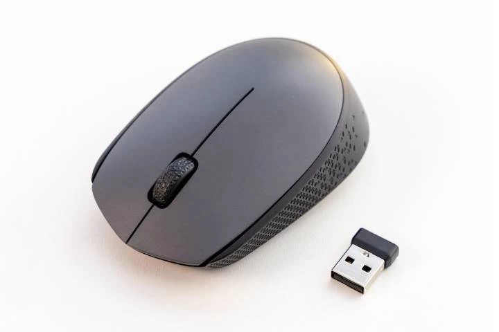 computer mouse